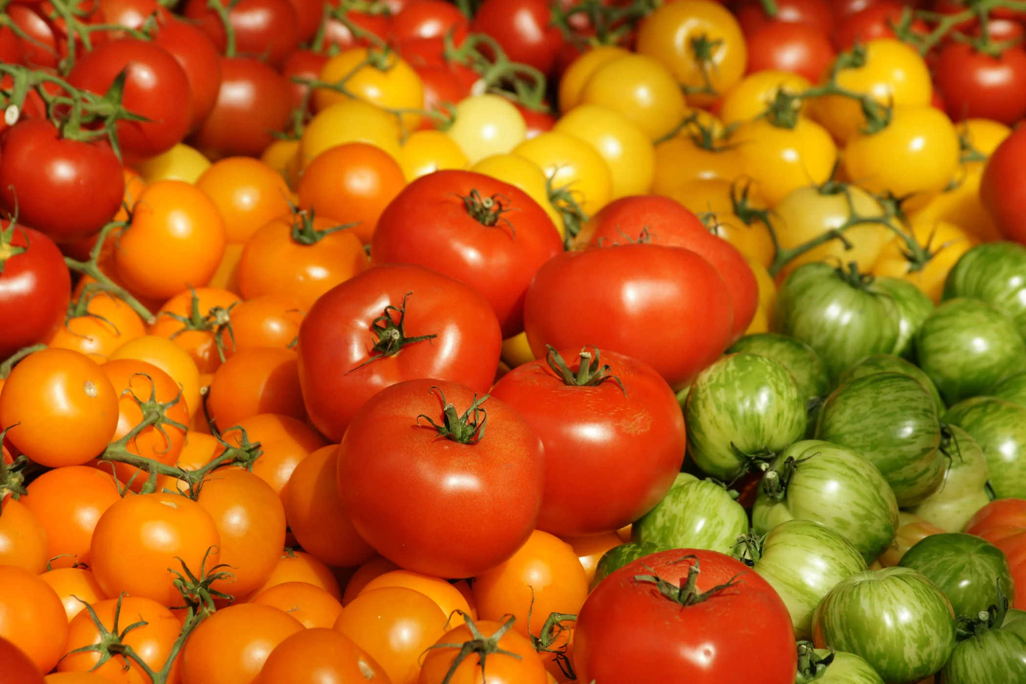 Grow Your Own Outdoor Oasis