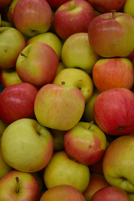 Fuji Apple - Image 3